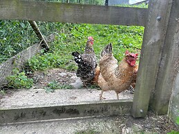 Cozy Hut Retreat in Umberleigh/fire pit