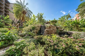 Kaanapali Shores 548