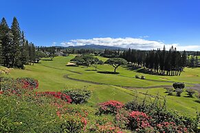 Kapalua Golf Villas 17t8