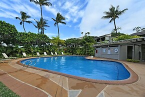 Wailea Ekolu 504