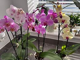 Birmingham Luxury House - Modern Retreat