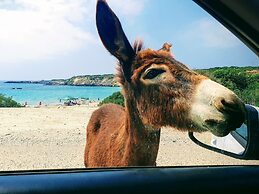 Sunny and Family Friendly Apartment Directly at the Pool