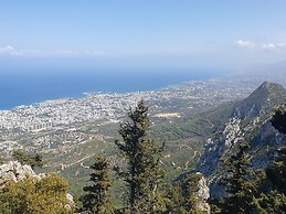 Sunny and Family Friendly Apartment Directly at the Pool