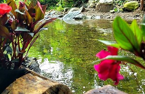 PromisedLand Tayrona Cabins