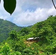 PromisedLand Tayrona Cabins