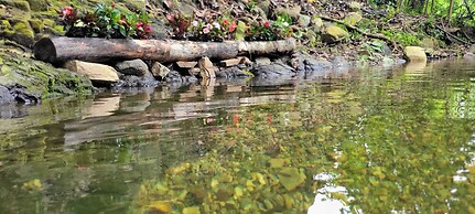 PromisedLand Tayrona Cabins