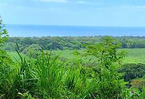 PromisedLand Tayrona Cabins