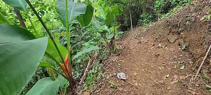 PromisedLand Tayrona Cabins