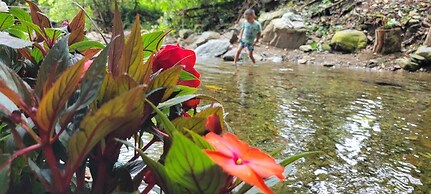 PromisedLand Tayrona Cabins