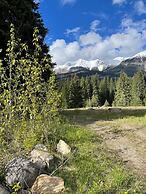 Rustic Beaverfoot Lodge Woodland Cabin