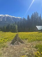 Rustic Beaverfoot Lodge Woodland Cabin