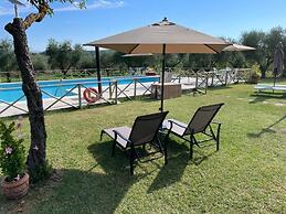 Il Girasole Terzuolo