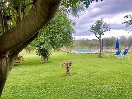 Il Girasole Terzuolo