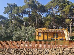 TİNY MİNİ HOUSE