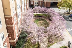 Luxury Central Apartment with Gym