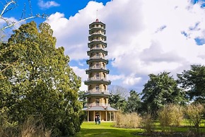 Comfy Kingston Central Garden House & Free Parking