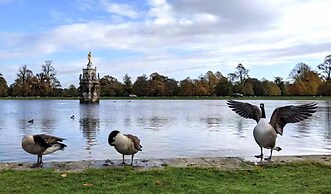 Comfy Kingston Central Garden House & Free Parking