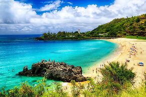 Diamond Head and Ocean views with King Bed and Parking