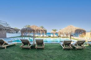 Golden Bee Lifestyle