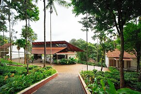 Theyila Wayanad
