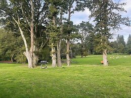 La Clairière aux Chênes