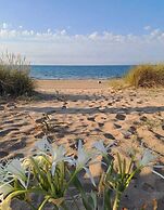 Agva Seferogullari Camping Karavan