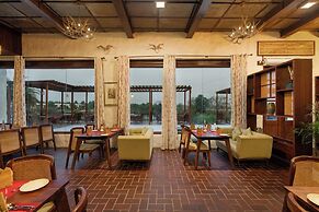 Amritara Olive Trotter