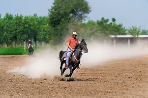 Amritara Olive Trotter