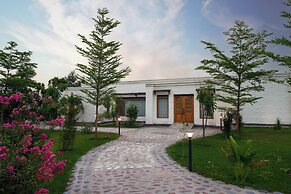 Amritara Olive Trotter