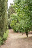 Villa Stankiewicz Art