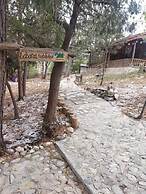 Cabañas Niebla Azul