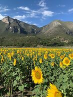 Cabañas Niebla Azul