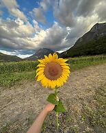 Cabañas Niebla Azul