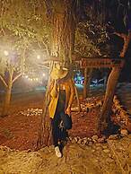 Cabañas Niebla Azul