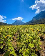 Cabañas Niebla Azul