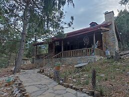 Cabañas Niebla Azul