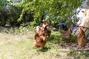 Antico Podere La Polletta