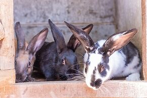 Antico Podere La Polletta