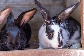 Antico Podere La Polletta