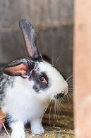 Antico Podere La Polletta