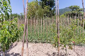 Antico Podere La Polletta - Centrale