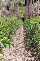 Antico Podere La Polletta - Centrale