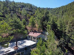 Phaedrus Living: Palaiomylos Forest Residence