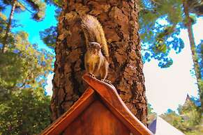 VELINN Pousada Torre Branca