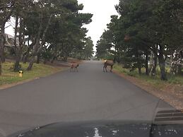 Gearhart Lakefront Oasis