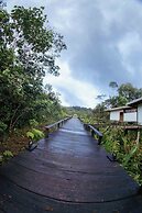 Cedro Amazon Lodge