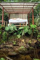 Cedro Amazon Lodge
