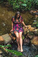 Cedro Amazon Lodge