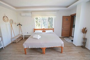 Aşan Butik Pansiyon