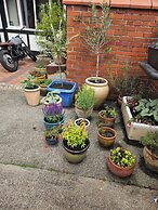 Cosy Cottage Retreat Next to Famous White Horse!
